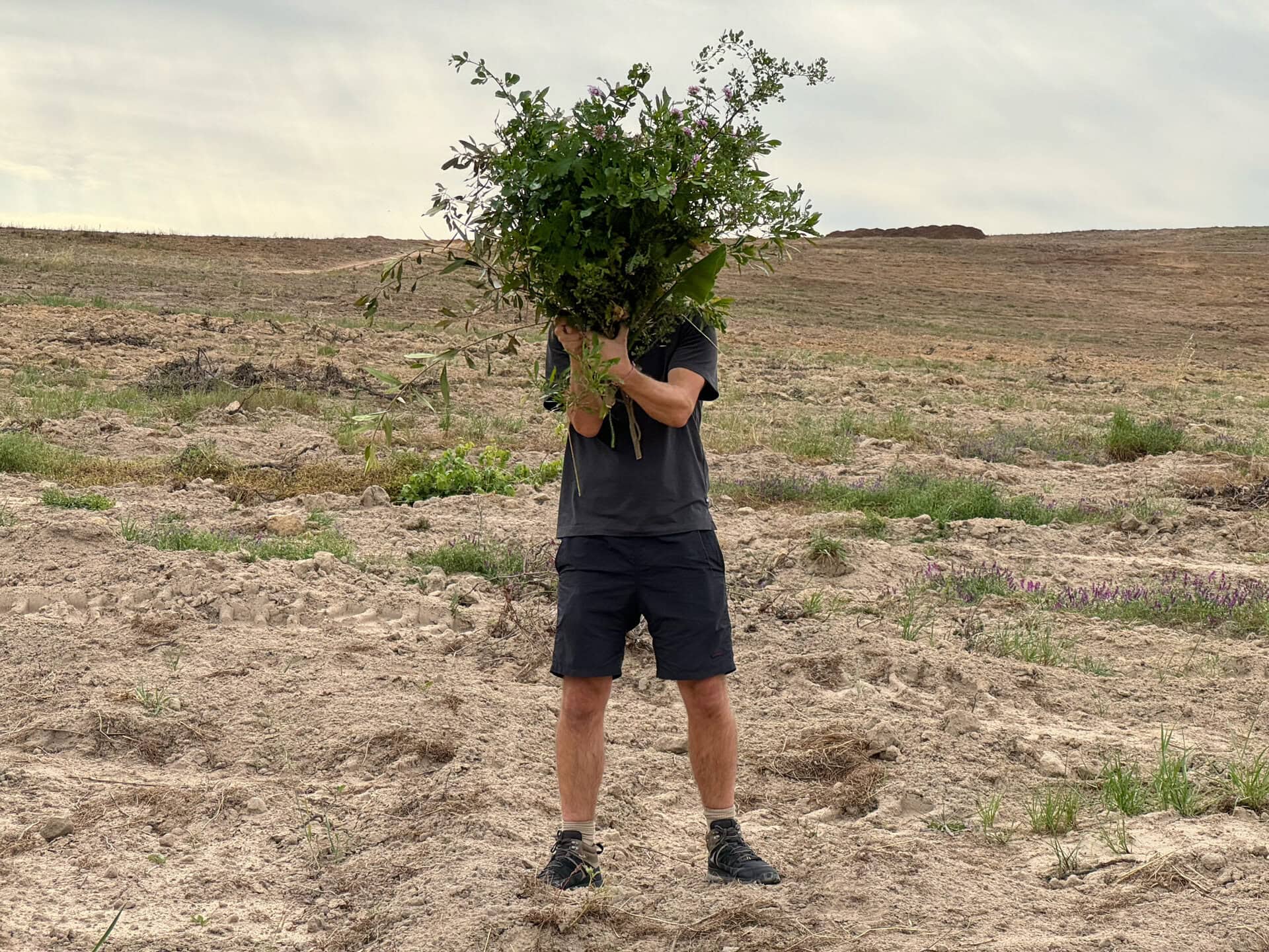 slow disasters photos scaled