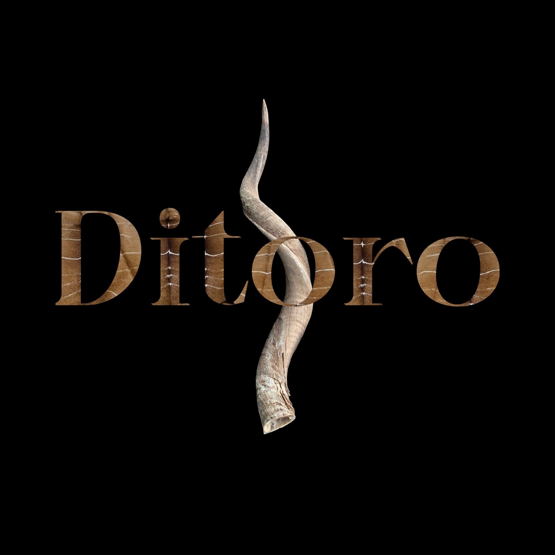 Ditoro Studio - Design Week South Africa